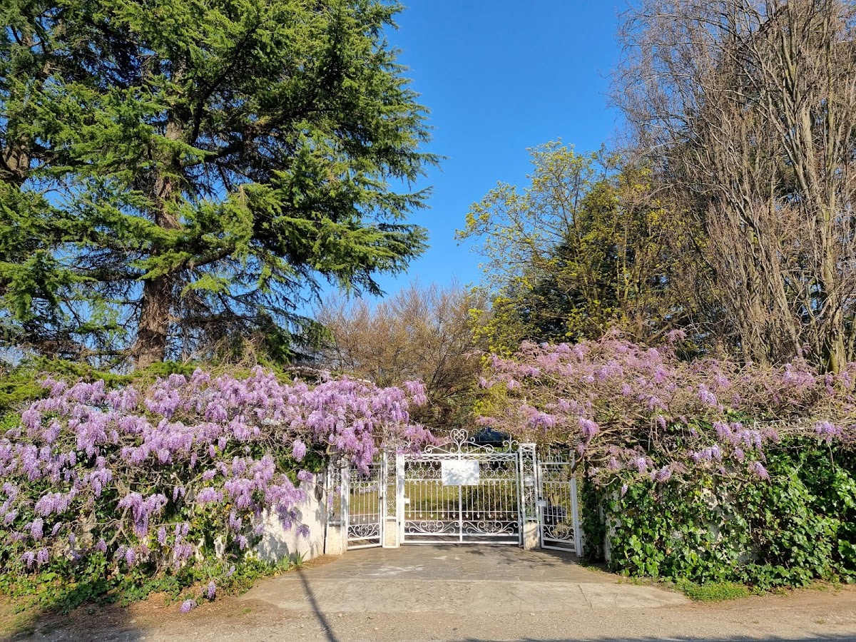 Villa Glicini Home Restaurant - 3