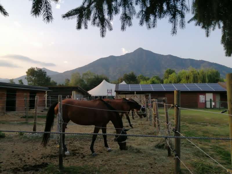 Agriturismo La Soldanella - 8